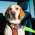 thumbnail image 3 of Secure Adjustable Pet Vehicle Restraint with Elastic Bungee Leash and Reflective Tether for Travel, 3 of 3
