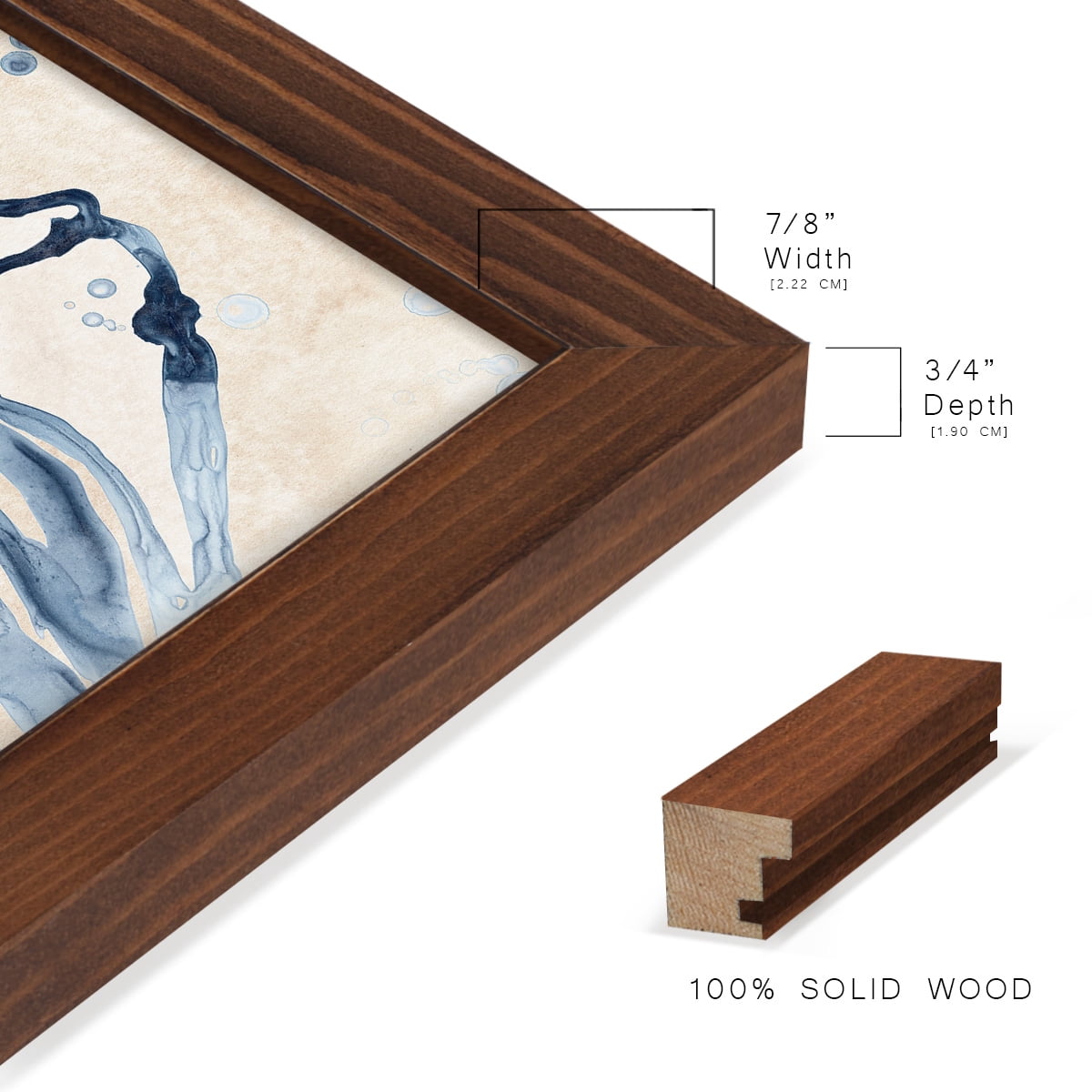 Water Shells I - Framed Print w/glass - Chestnut