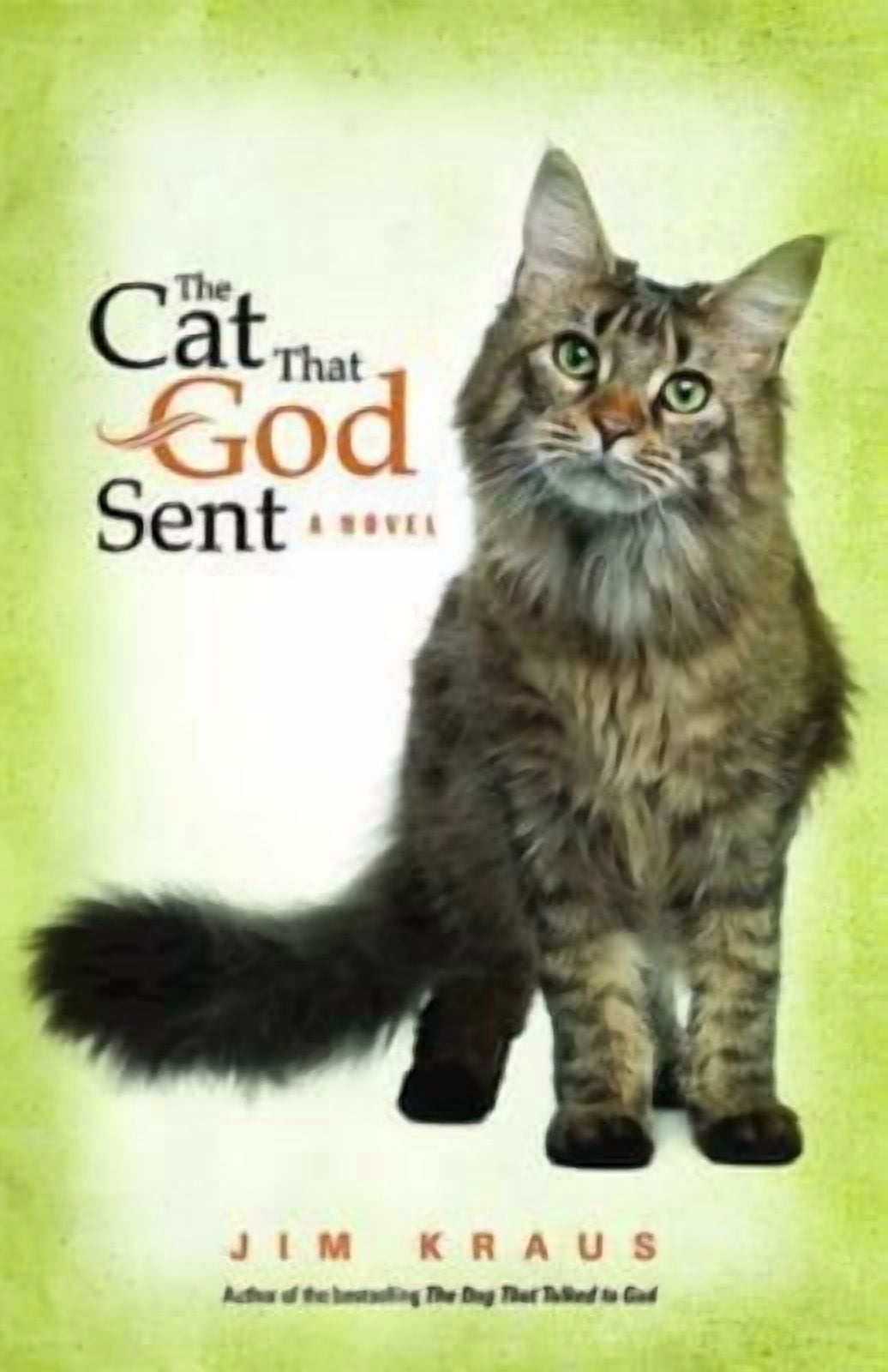 The Cat That God Sent, (Paperback)