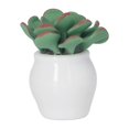 thumbnail image 2 of Mini Bonsaï en Céramique, Échelle 1:12 Maison de Poupée Mini Bonsaï Simulation DIY Pot de Fleurs Miniature pour Enfants Collectionneur, 2 of 8