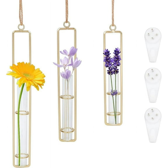 1 Bag 3 Pack Gold Wall Hanging Propagation Station Clear Glass Test Tube Vases Wall Hanging Terrarium Propagation Station Glass Planter Round Hanging Glass Hydroponic Planter for Home Decoration