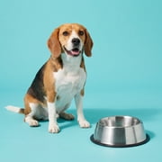 Vibrant Life Large 8.4-Cup Stainless Steel Pet Bowl, Silver
