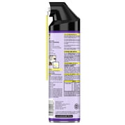 (2 pack) Raid Max Bed Bug & Flea Foaming Spray, 8 Week Residual Protection Bed Bug Control, 17.5 oz
