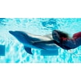 thumbnail image 3 of Dolphin Tale 2 [DVD], 3 of 6