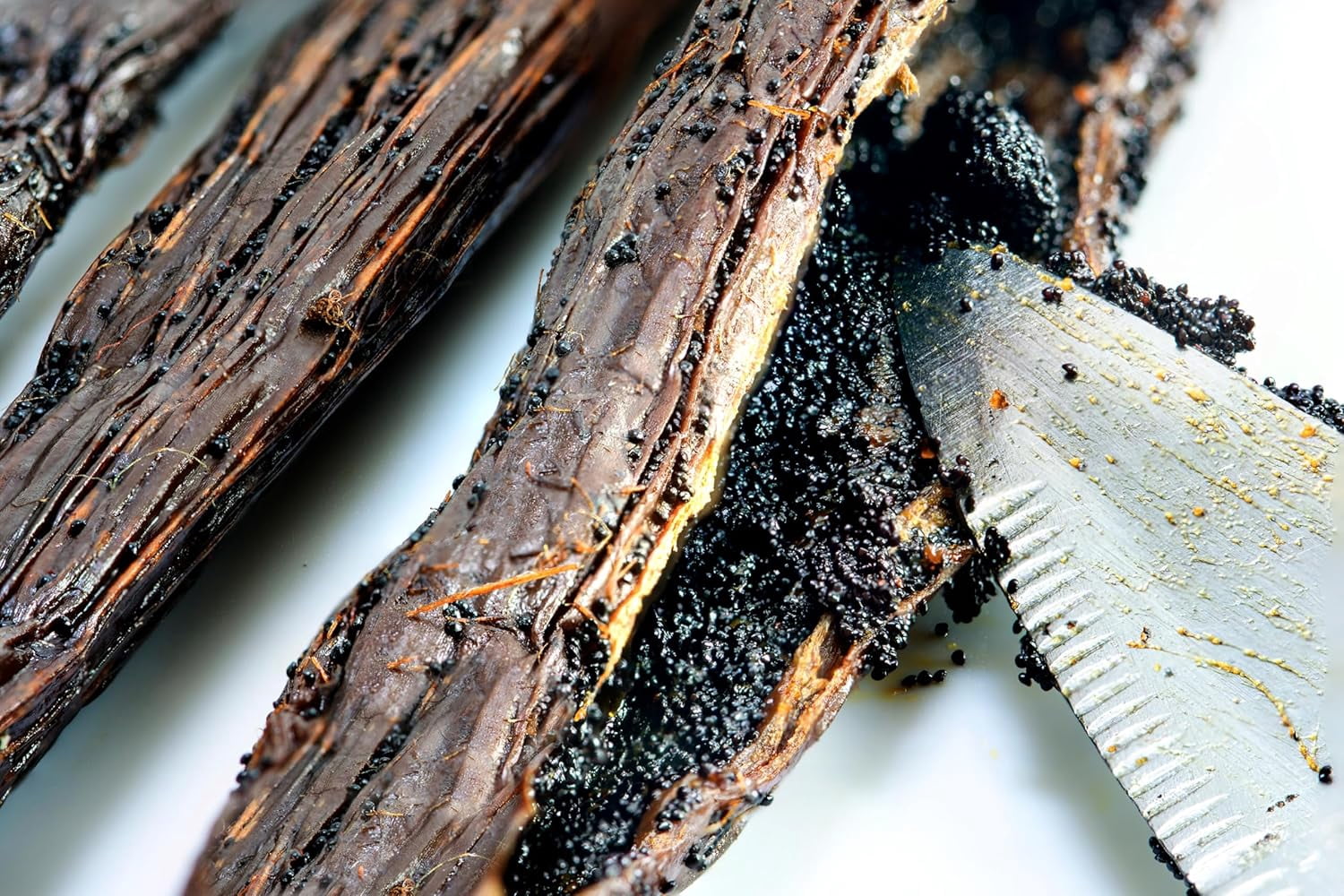 Sri Lankan Vanilla Beans Whole Grade A Vanilla Pods for Homemade Vanilla Extract, Baking, Ice Cream, Flavoring, & Vanilla Powder - 1 LB
