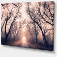 thumbnail image 2 of Road Through Mystical Dark Forest, 2 of 3