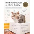 thumbnail image 1 of Comment Faire de Votre Chat une Célébrité Internet, Patrick Carlin Broché, 1 of 2
