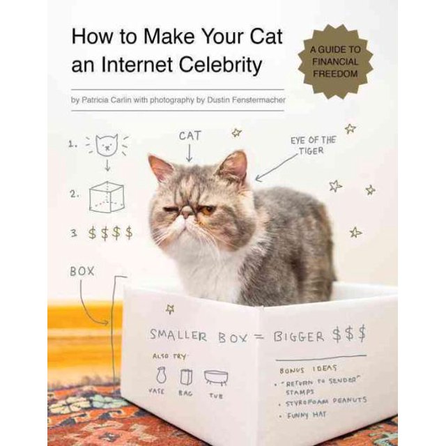 Comment Faire de Votre Chat une Célébrité Internet, Patrick Carlin Broché