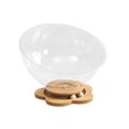 thumbnail image 2 of STARTIST Capsule Spatiale Lit pour Chat Transparent Centre d'Activités Maison pour Animaux en Acrylique pour Chats Minou Fleur Sans Coussinet, 2 of 9