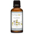 thumbnail image 1 of Aceite aromático Barnhouse Blue Plumeria 30 ml para velas y jabón, 1 of 1