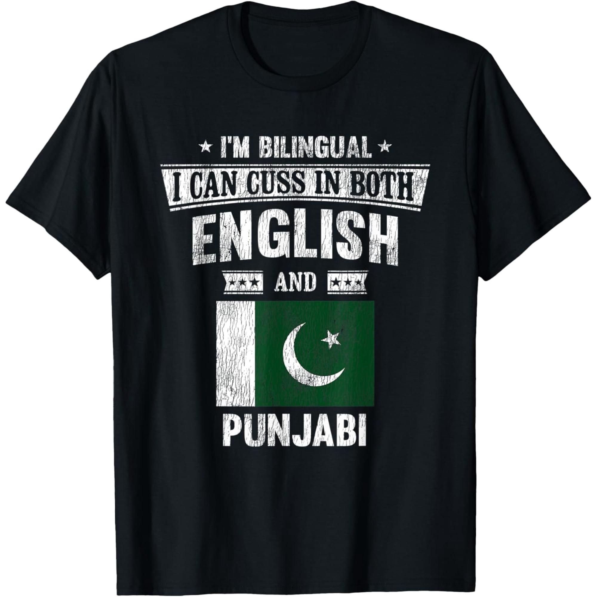 I'm Bilingual I Can Cuss In Punjabi Pakistan Flag Funny T-Shirt