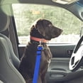 thumbnail image 4 of Pet Car Harness Retractable Leash for Dog Leash for Dog Car Harness, 4 of 4