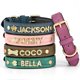 thumbnail image 2 of Custom Leather Dog Collar Personalized Dogs Name Collars Bling Rhinestone Pet Necklace DIY Name Free Bone Paw Heart Charm ShopWise Round, 2 of 10