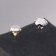 thumbnail image 2 of Pendientes de acero inoxidable de titanio y titanio japoneses y coreanos con cuatro garras y circonitas antialérgicas, 2 of 5