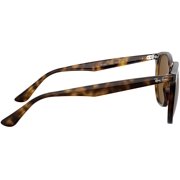 Ray-Ban Rb4306 Hexagonal Sunglasses