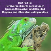Mazuri Herbivorous Reptile Diet12X8OZ