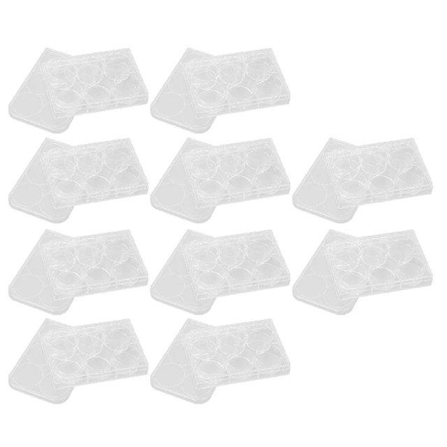 10pcs Transparent Tissue Culture Plate for Biology Room Uniform Thickness Highly Transparent Compatible with Multi Well Plate Instruments and Equipment with Lid for Experiment