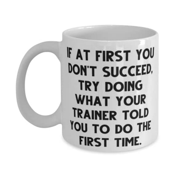 If at First You Don't Succeed, Try Doing What Your Trainer Told. 15oz Mug, Trainer Present From Coworkers, Perfect Cup For Men Women