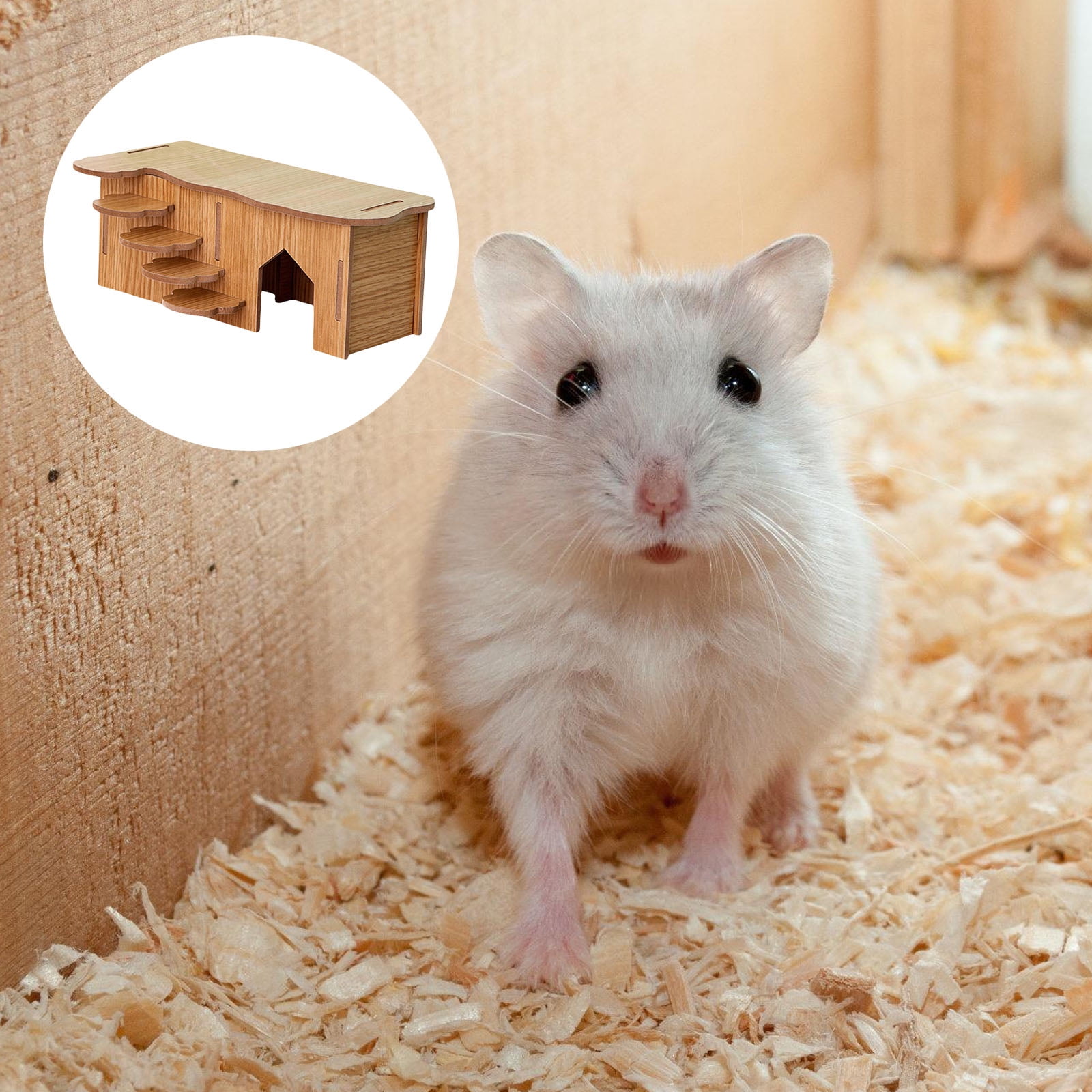 Natural Habitat for Hamster Indoor Small Pet Comfort Climbing Cave for Active Pet Chewing Cave
