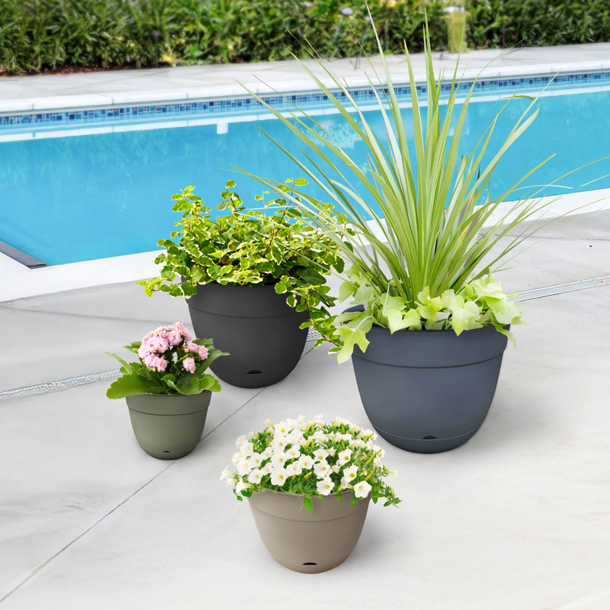 TierraVerde Birch No Lip Indoor-Outdoor Planter Balsam 10"D