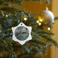 thumbnail image 7 of 3drose, Ecuador, Galapagos Islands. Giant Tortoise - Sa07 Gje0081 - Gavriel Jecan, 3 inch Snowflake Porcelain Ornament, 7 of 7