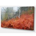 thumbnail image 2 of Red Fern in Foggy Fall Fay, 2 of 3