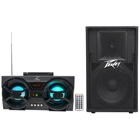 Peavey PV115 800 Watt 15" 2-Way Speaker System Cabinet PV 115 + Free Speaker !