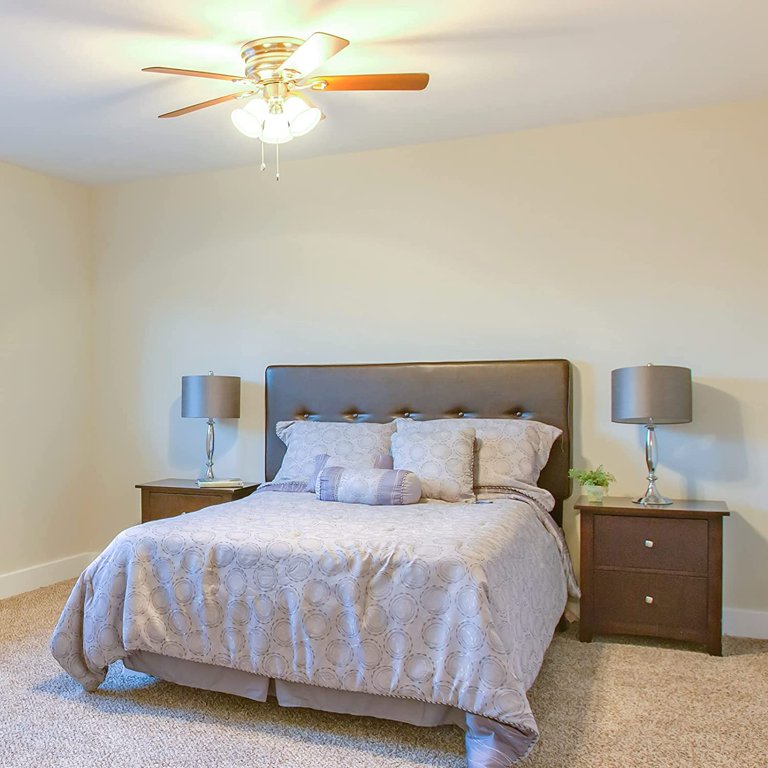 Ceiling Fan With Standard Light Bulbs Shelly Lighting