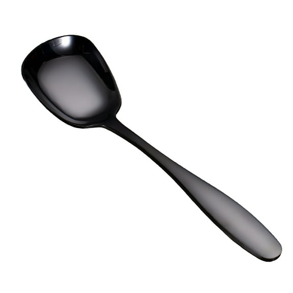 ACDANC Serving Spoon Dishwasher Safe Rust-resistant Stainless Steel Large Buffet Serving Spoon for Restaurant (Black)