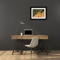thumbnail image 3 of Crane, Rita 18x14 Black Ornate Wood Framed with Double Matting Museum Art Print Titled - Garden Glimpse IX, 3 of 4
