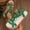 Green, variant on Bnwani Platform Sandals Women,Summer Sandals,Wedge,Open Toe,Casual,Cutout,White,9.5