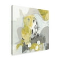 thumbnail image 2 of Trademark Fine Art 'Citron Mist IV' Canvas Art by June Erica Vess, 2 of 4