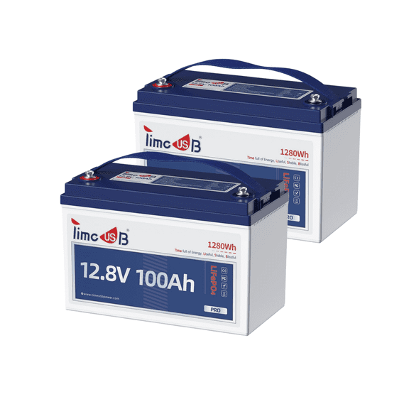 Timeusb 2 Pack 12V 100Ah Pro LiFePO4 Battery,100A BMS,Group 31,Grade a Battery Cells up to 10 Years Lifespan for RV,Trolling Motor,off-Grid Applications