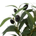 thumbnail image 4 of DesignOvation 11"H Artificial Olive Plant in White Ceramic Pot, 4 of 8