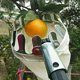 thumbnail image 5 of Fruit Picker Tool, Metal Head for Garden Orchard Use, High Tree Catcher for Peaches and Other Fruits, 5 of 5