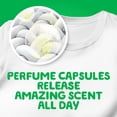 thumbnail image 3 of Gain Ultra Concentrated Liquid Laundry Detergent, Blissful Breeze, 200 Fluid Ounce, 146 loads, 3 of 11