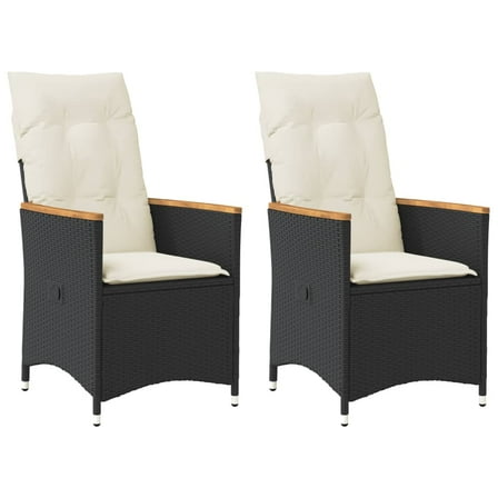 vidaXL Reclining Garden Chair Set of 2 Black