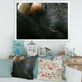 thumbnail image 3 of Designart 'Close-Up Of Eye Fighting Bull Head ' Farmhouse Framed Art Print, 3 of 4