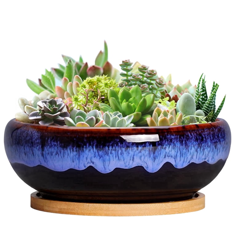 7 Inch Round Ceramic Succulent Planter with Bamboo Tray photo 1