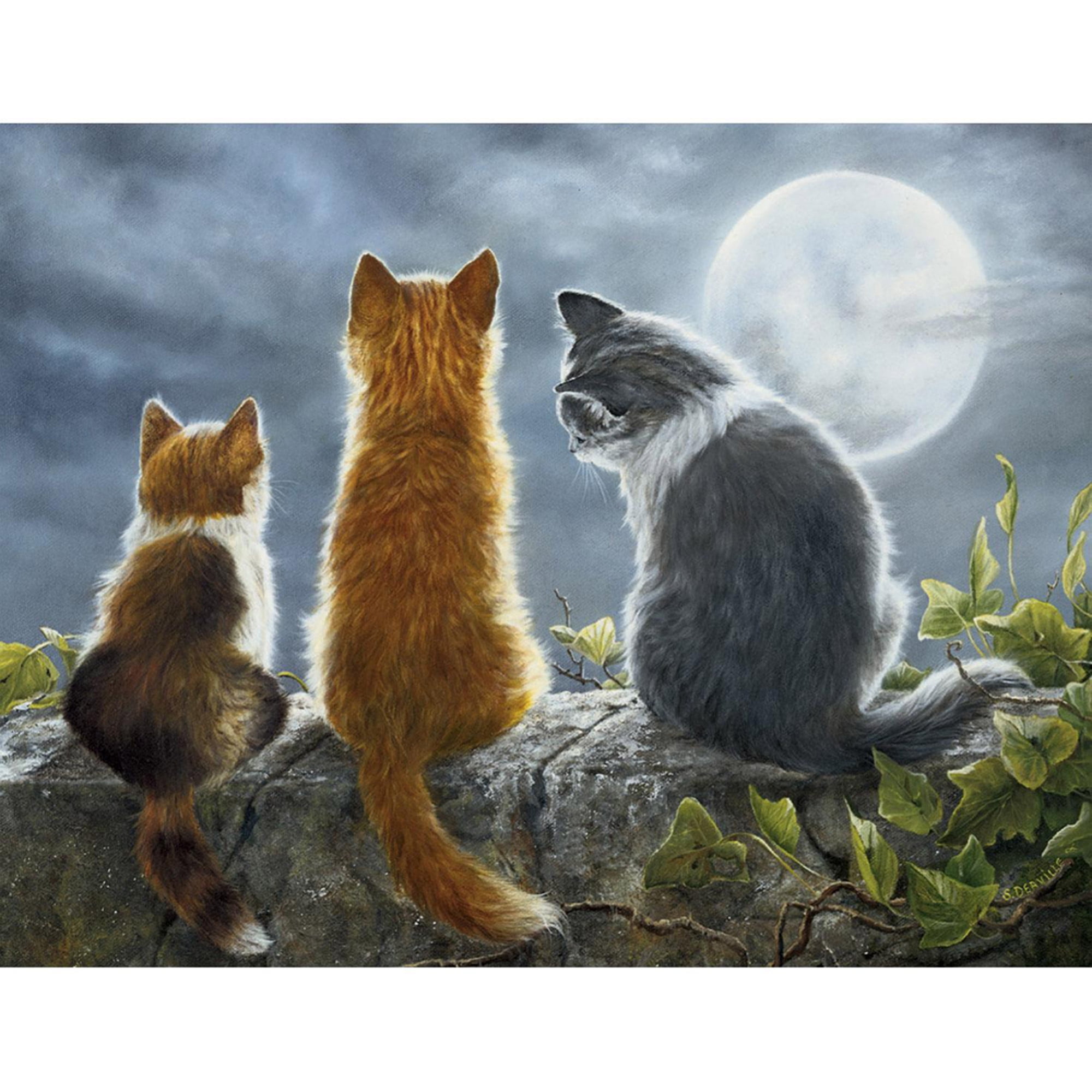 Lang Cat Whisperers Boxed Note Cards