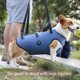thumbnail image 4 of Arnés para levantamiento de perros Coodeo Support Rehabilitation Sling Blue M, 4 of 8