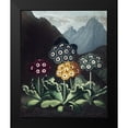 thumbnail image 2 of Thornton, Dr R 15x18 Black Modern Framed Museum Art Print Titled - Auriculas, 2 of 5