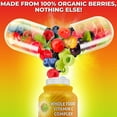 thumbnail image 3 of Whole Food Vitamin C Complex - 1450mg Organic Berries - 675 mg Vitamin C per Serving, High-Potency Antioxidant & Immune Support with Acerola, Amla and Natural Bioflavonoids - Vegan, Non-GMO, 120 Ct, 3 of 6