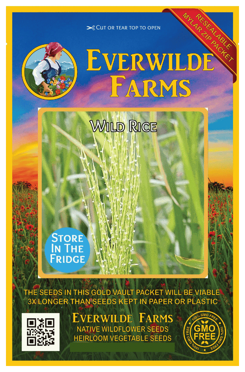 Everwilde Farms 50 Wild Rice Native Grass Seeds Gold Vault Jumbo