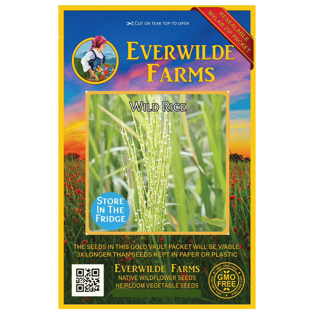 Everwilde Farms 25 Wild Rice Native Grass Seeds Gold Vault Jumbo