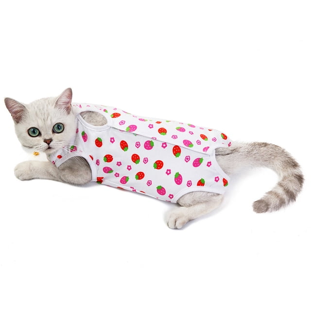 Ropa para mascotas Ropa para esterilización de perros y gatos Ropa para cirugía de mascotas Ropa para destete Ropa para gatos Ropa para mascotas
