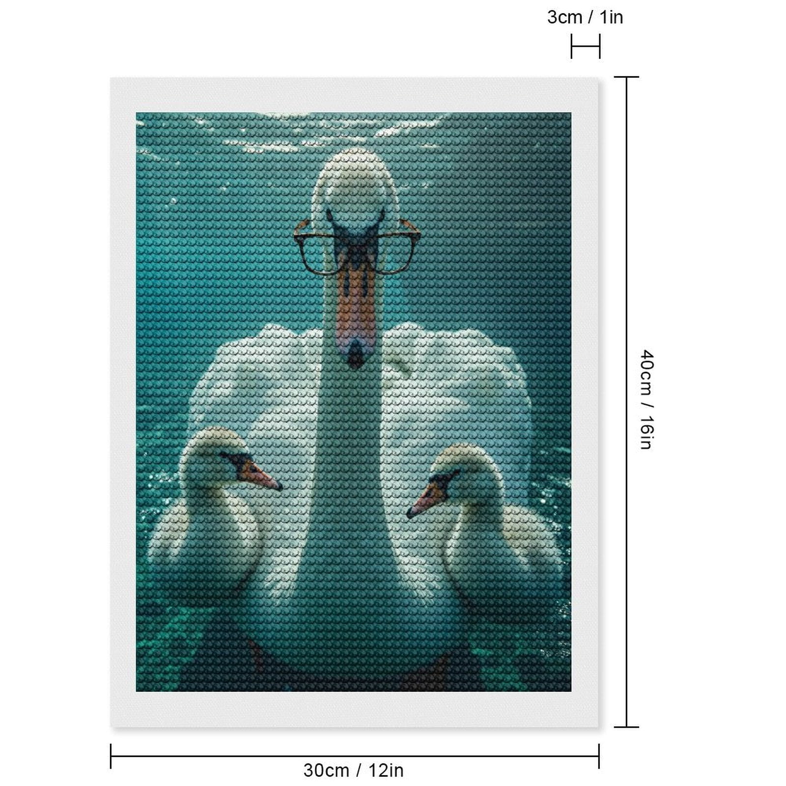 Diamond Art Kits for Adults, Swan Glasses Water Family Portrait 5D Diamond Painting Kits for Adults Beginners, DIY Full Drill Diamond Painting, Gem Art and Crafts 12x16