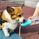 thumbnail image 2 of Una botella de agua para perros, dispensador de agua portátil a prueba de fugas para perros, dispensador de agua antibacteriano para mascotas de 550 ml, vaso para beber para viajes al aire libre para perros, gatos y mascotas (azul) Rojo Verde, 2 of 5