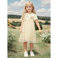 thumbnail image 2 of Emy Dola 2-8T Girls Summer Tutu Dress 3D Cat Dot Princess Dress Little Girls A-line Tulle Dresses For Wedding Birthday Party, 2 of 9