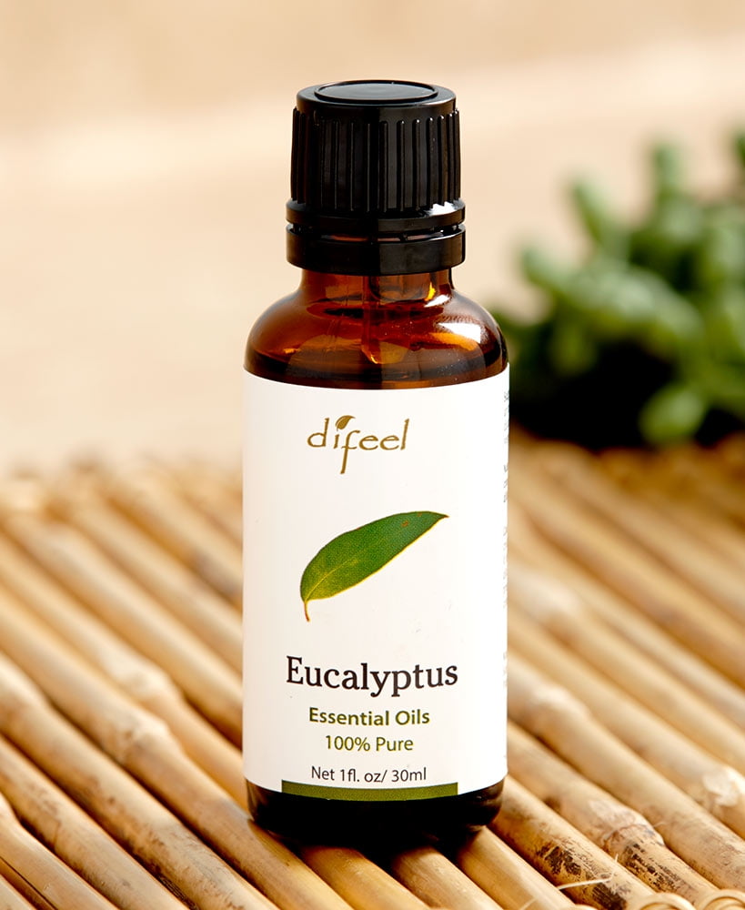 Aromatherapy Diffuser Eucalyptus Oil